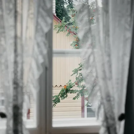 Tiiker Haapsalu