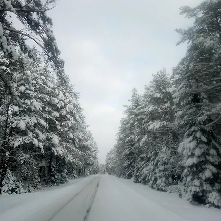 Tiiker * 哈普萨卢