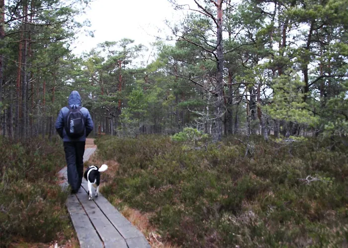 Tiiker Проживание в семье