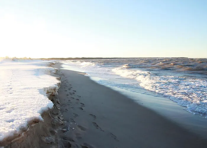 Tiiker * Хаапсалу