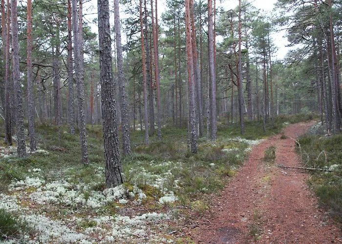 Проживание в семье Tiiker