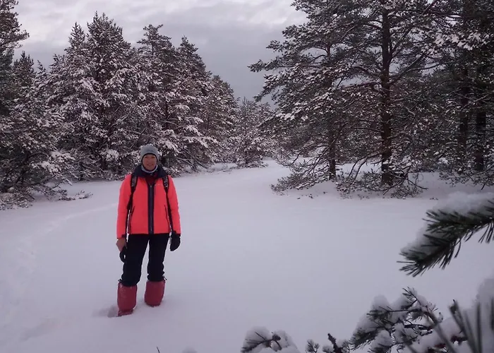 Tiiker Проживание в семье *