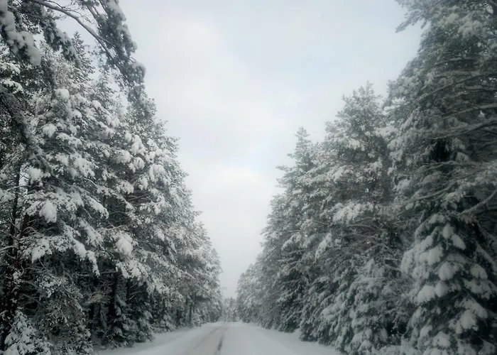 Tiiker * Хаапсалу